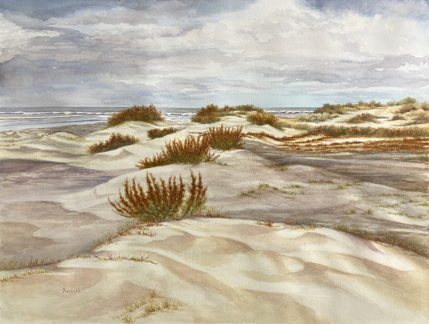<em>Disappearing Dunes</em><span>watercolor</span><span>24 x 18</span><span>$950</span>