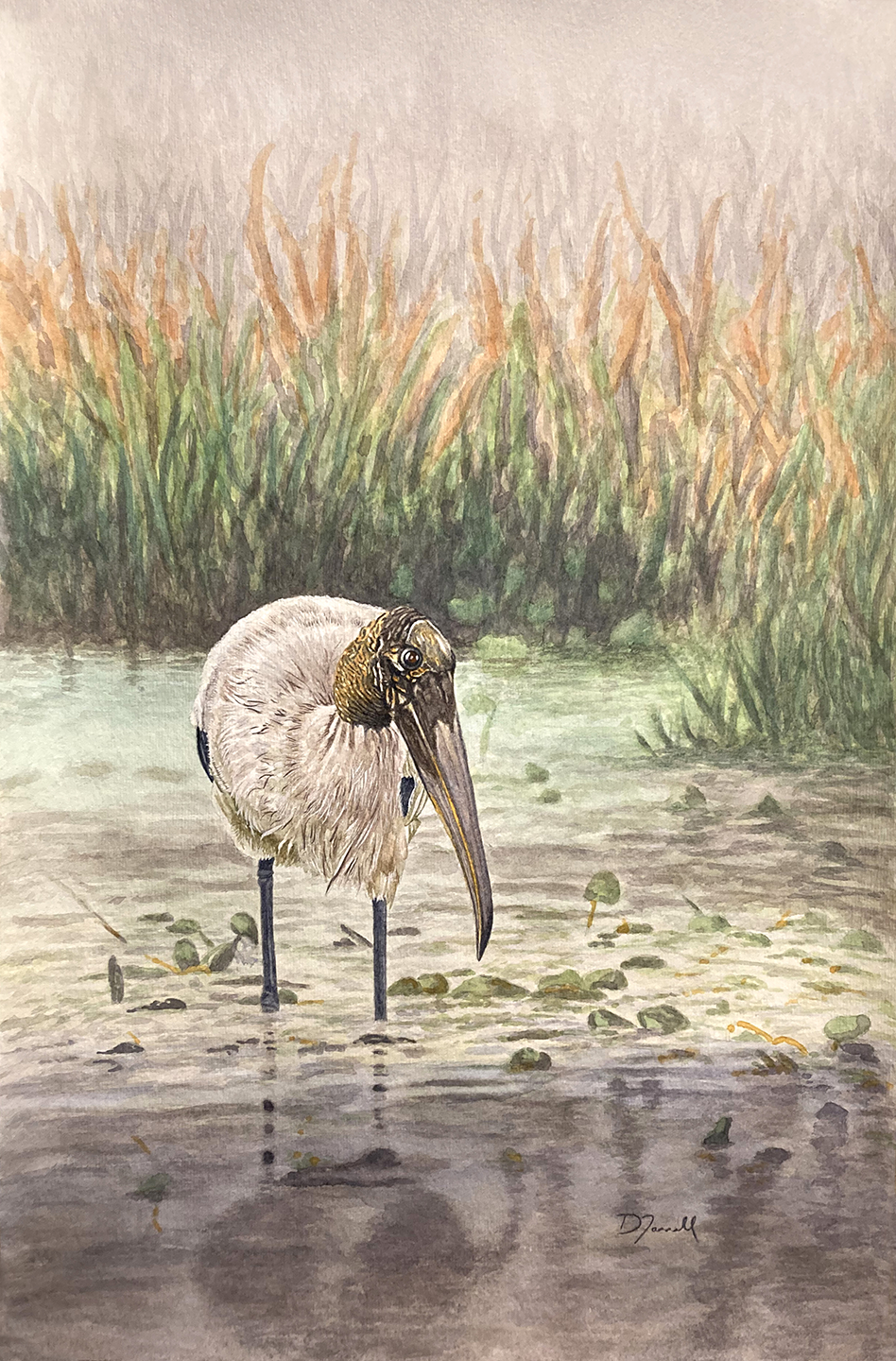 <em>Quiet Time, Wood Stork</em><span>watercolor</span><span>12 x 18</span><span>$475</span>